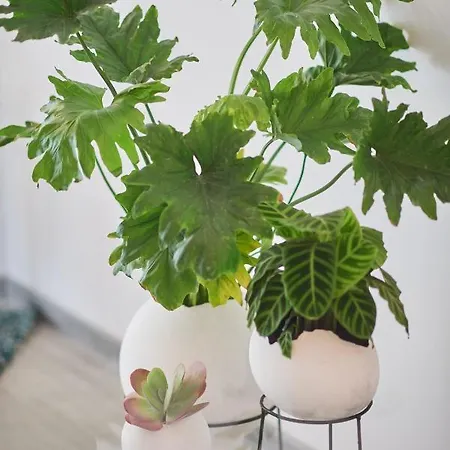 Sunny Side In Complexul Alezzi Appartement Năvodari